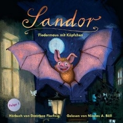 Dorothea Flechsig: Sandor - Fledermaus mit Kpfchen - Rezension Lettern.de