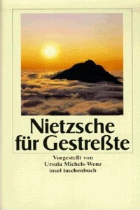 Ursula Michels-Wenz - Nietzsche fr Gestresste - Rezension Lettern.de